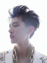 王聪赫个人资料,才华横溢的年轻才俊，多领域成就斐然